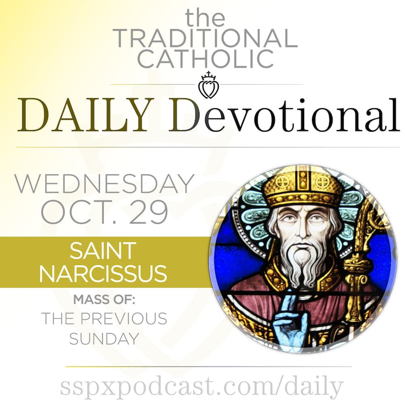 Artwork for podcast Traditional Catholic Daily Devotional