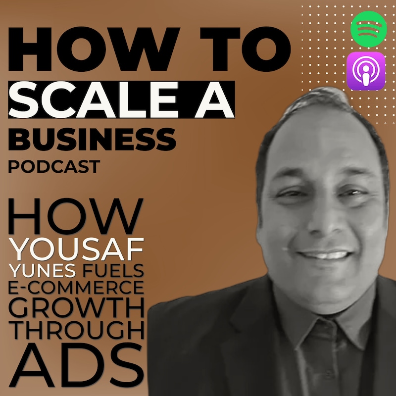 Artwork for podcast How to Scale a Business