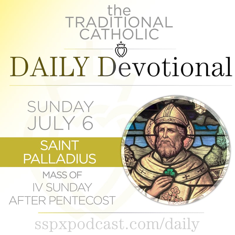 Artwork for podcast Traditional Catholic Daily Devotional