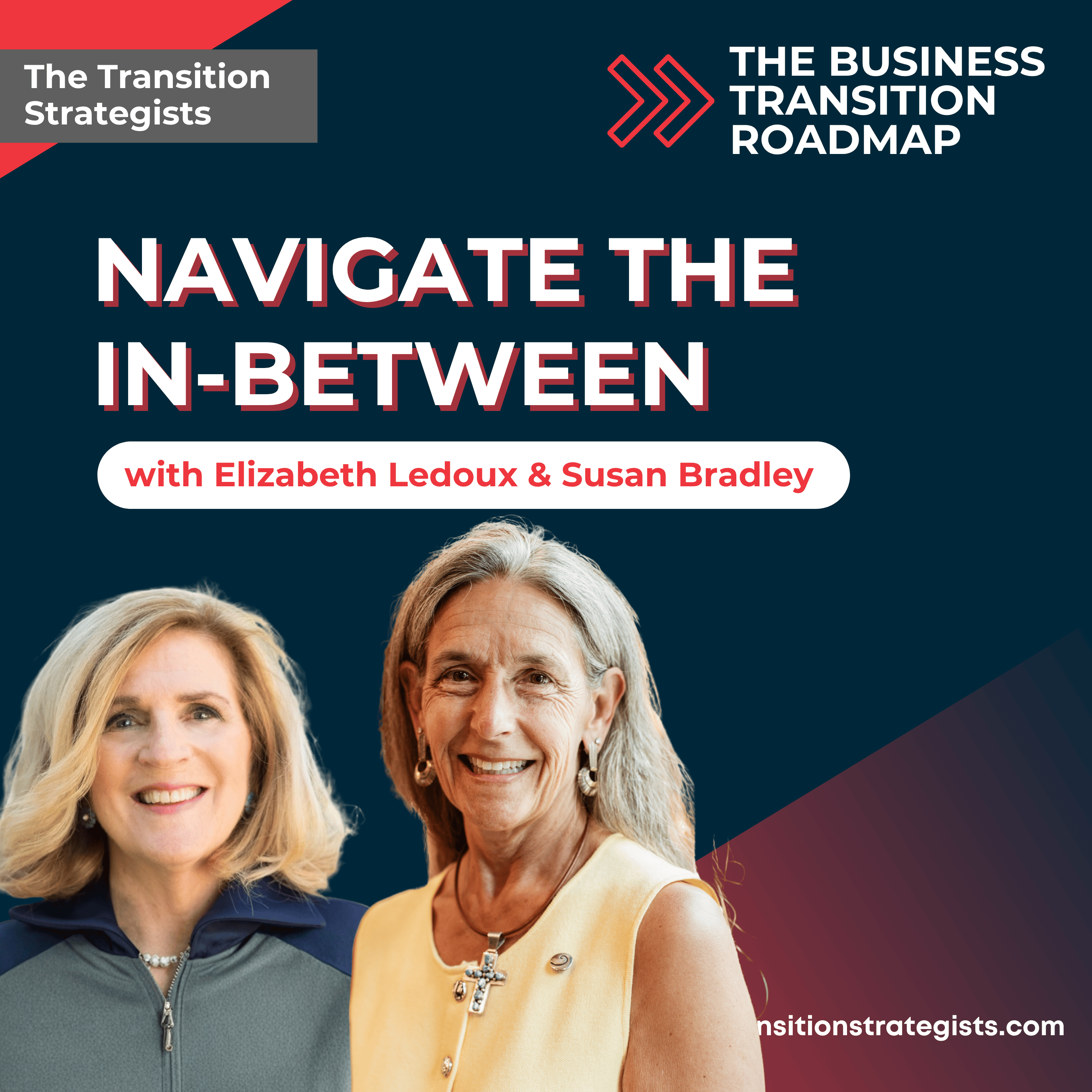 Business Transition Roadmap with Elizabeth Ledoux