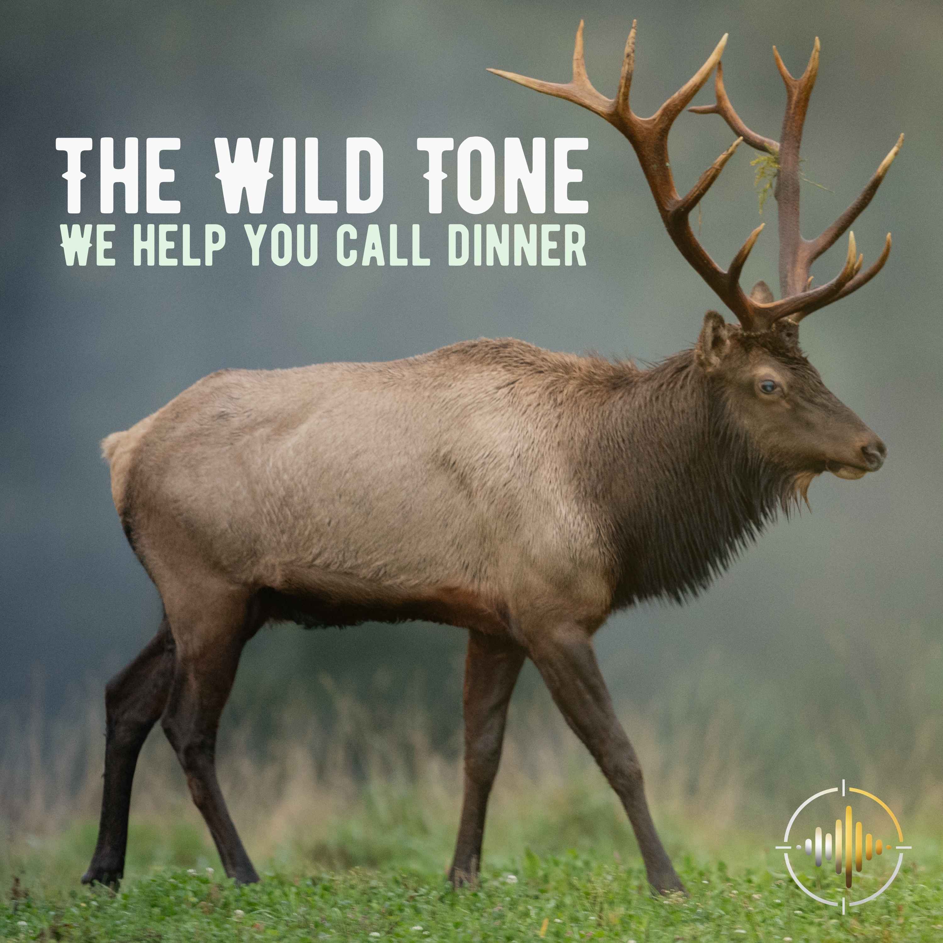 The Wild Tone
