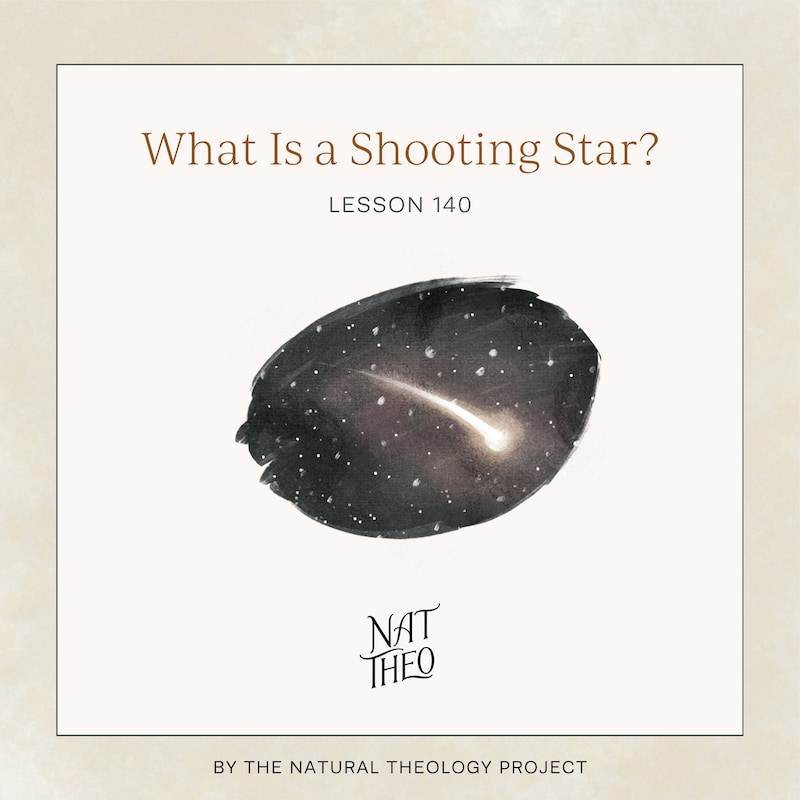 Artwork for podcast Nat Theo Nature Lessons Rooted in the Bible