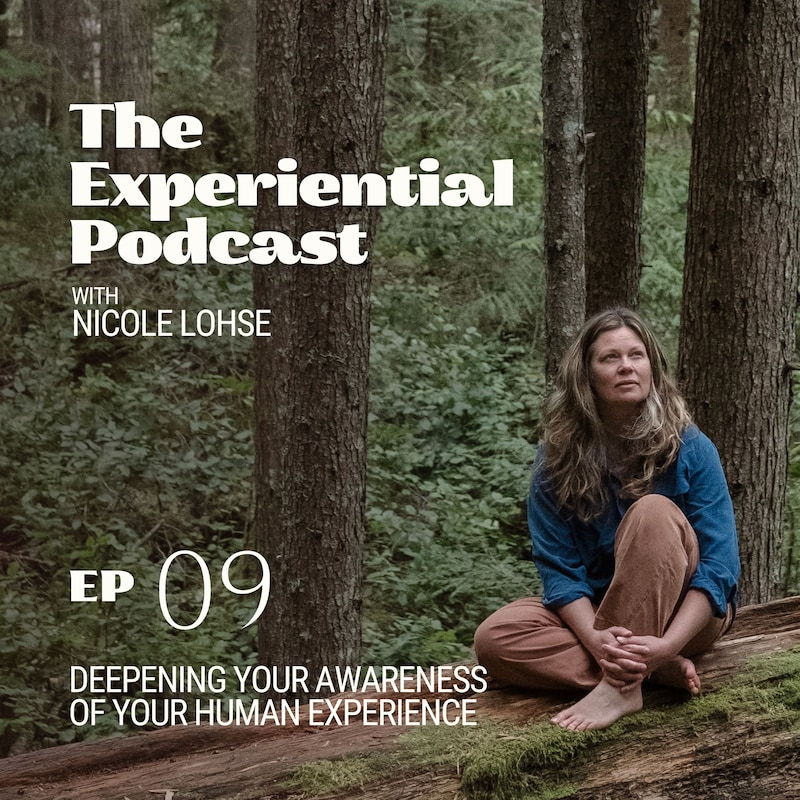Artwork for podcast The Experiential Podcast