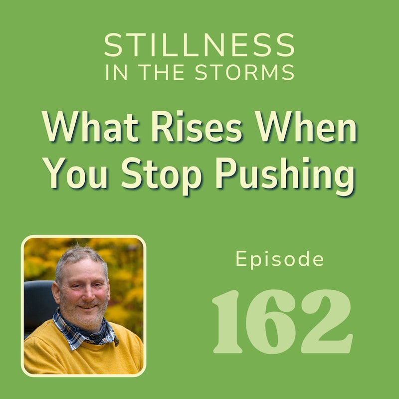 Artwork for podcast Stillness in the Storms