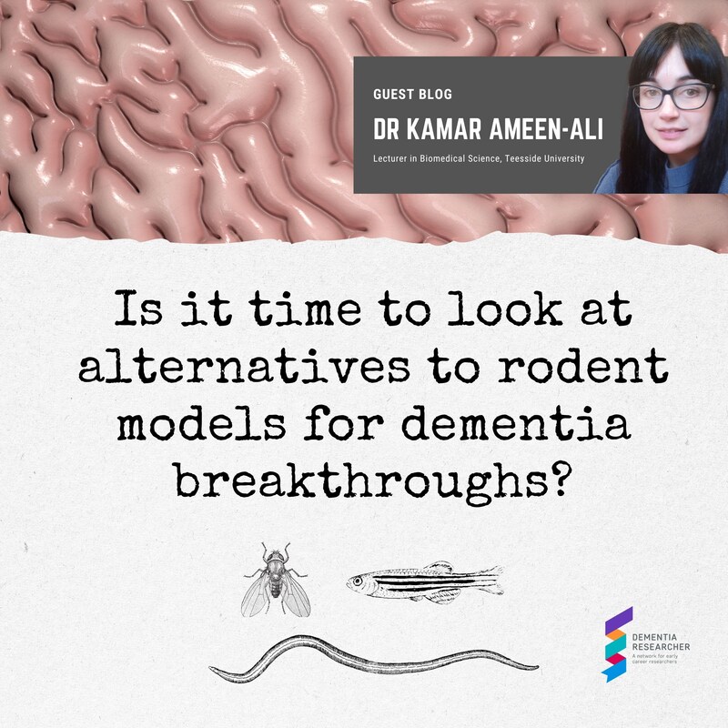 Artwork for podcast Dementia Researcher Blogs