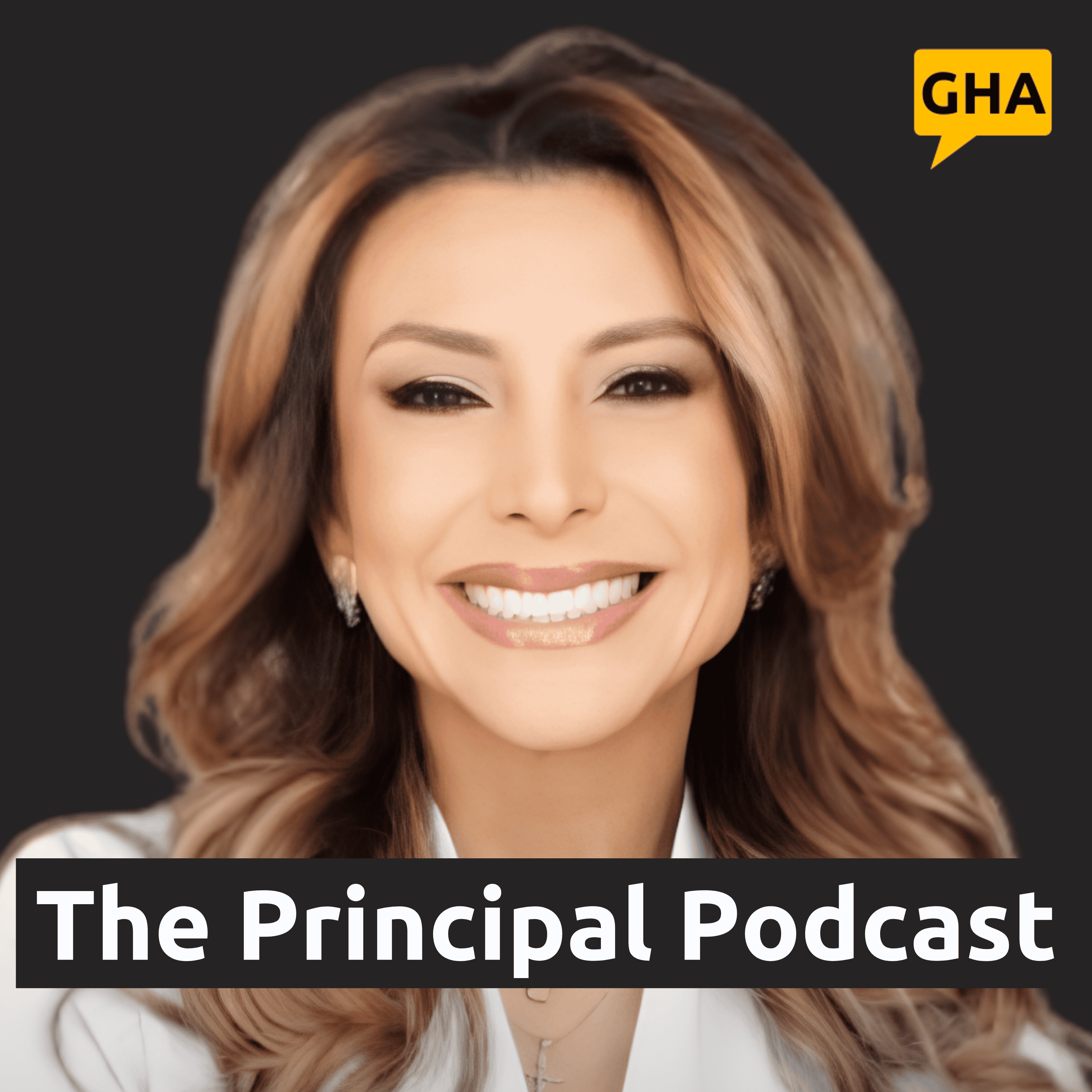How to Turn Cultural Intelligence Into Business Growth With Liliana Gil episode artwork