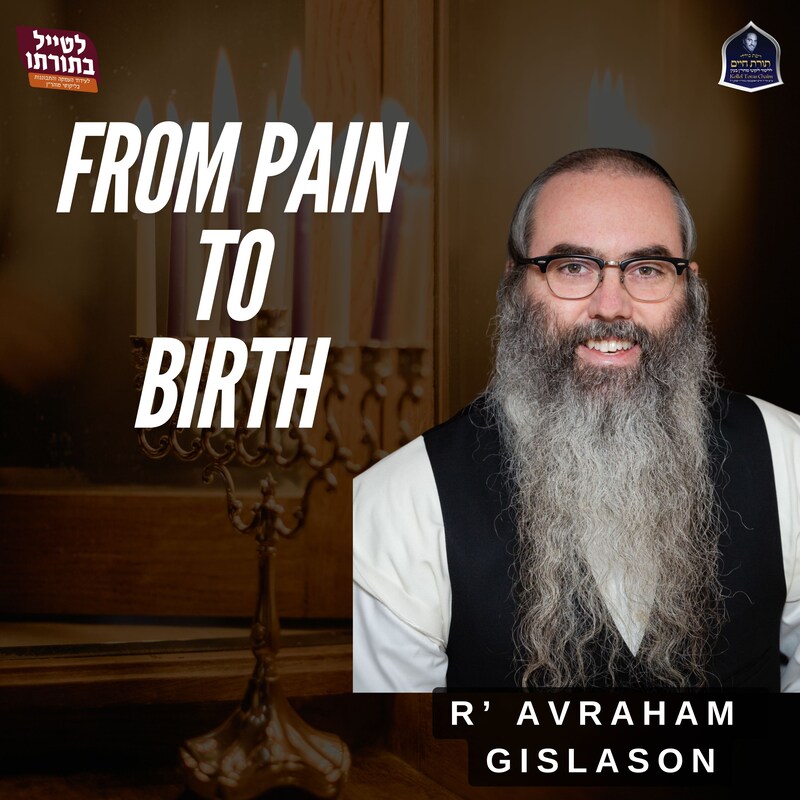 Artwork for podcast Kollel Toras Chaim All Shiurim