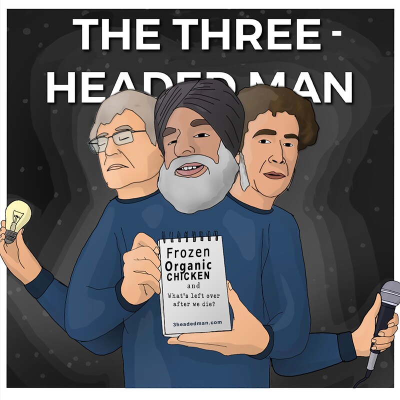 Artwork for podcast The Three-Headed Man