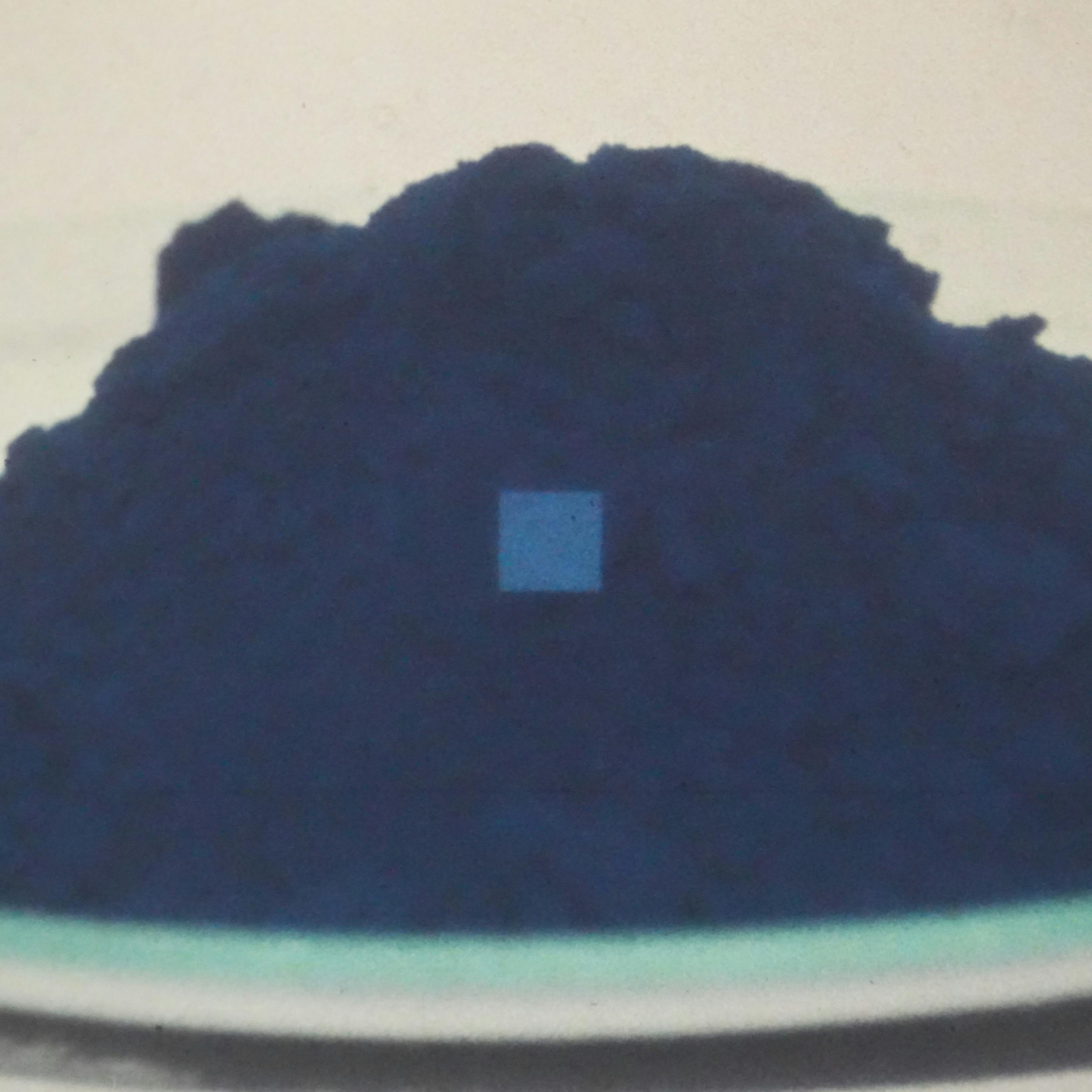 Museum of Color – Stephanie Krzywonos