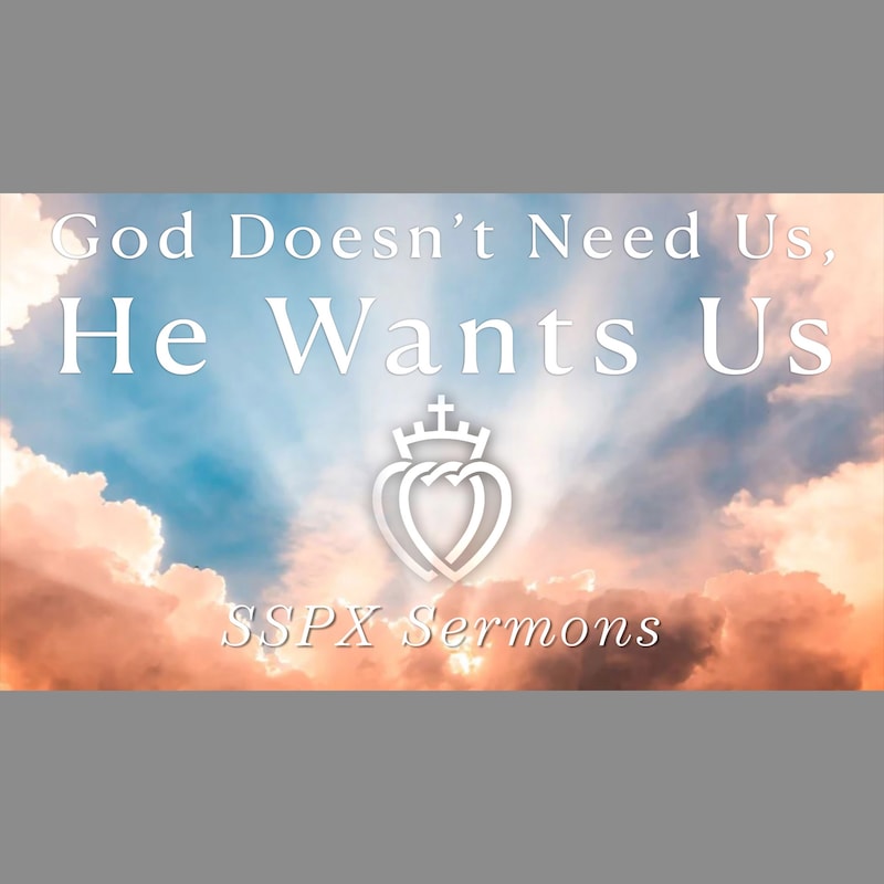 Artwork for podcast SSPX Sermons