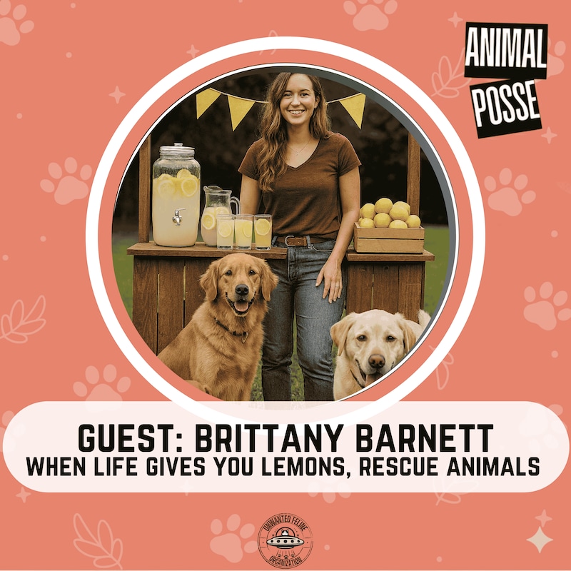 Artwork for podcast Animal Posse