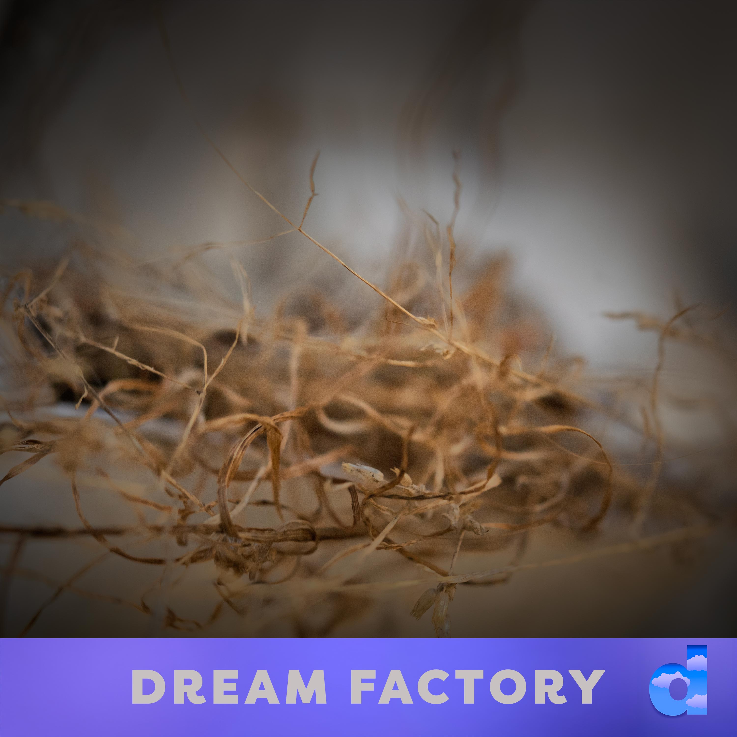 Dream Factory DK