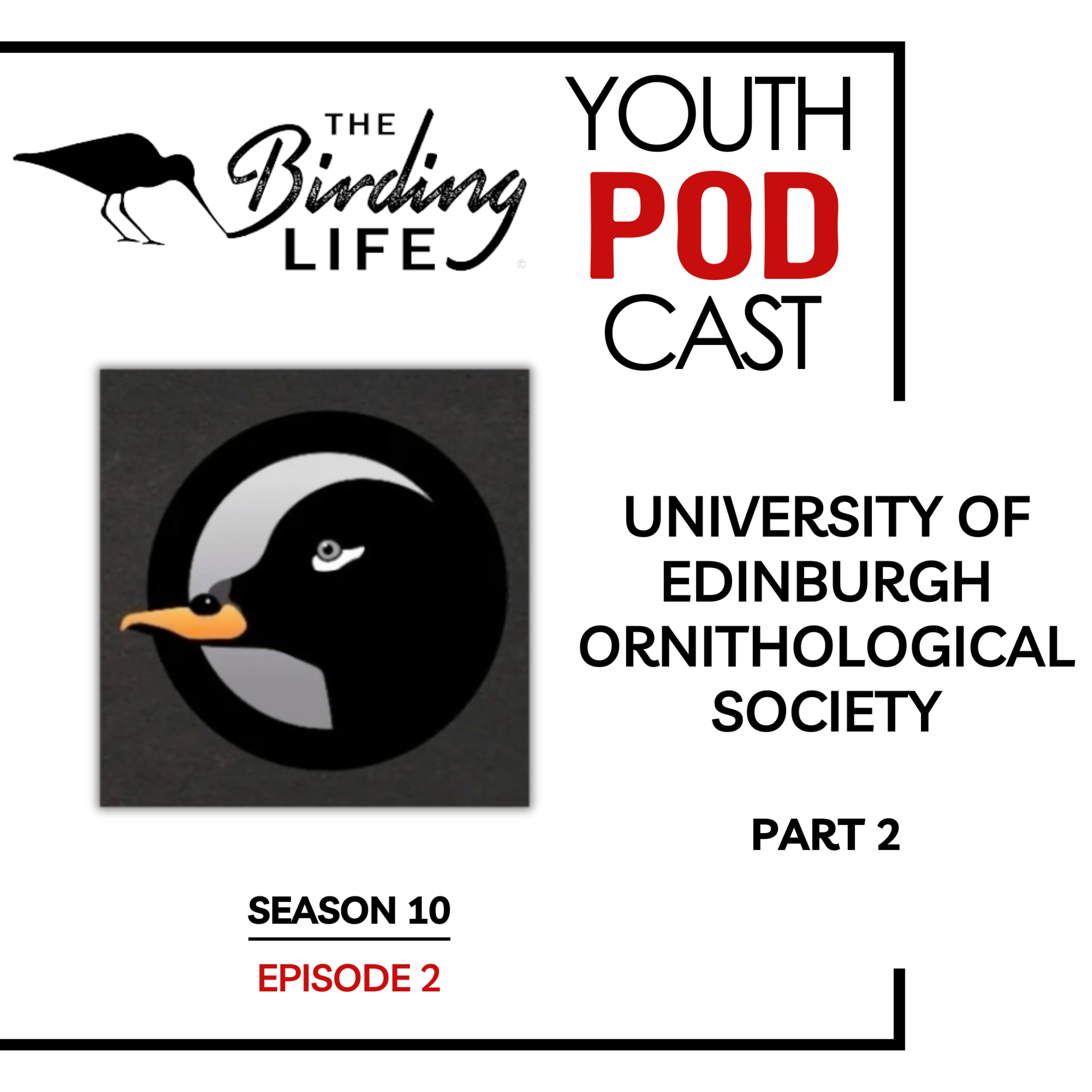 TBL Youth Podcast - Season 10 Episode 2 - The University of Edinburgh Ornithological Society: Part 2