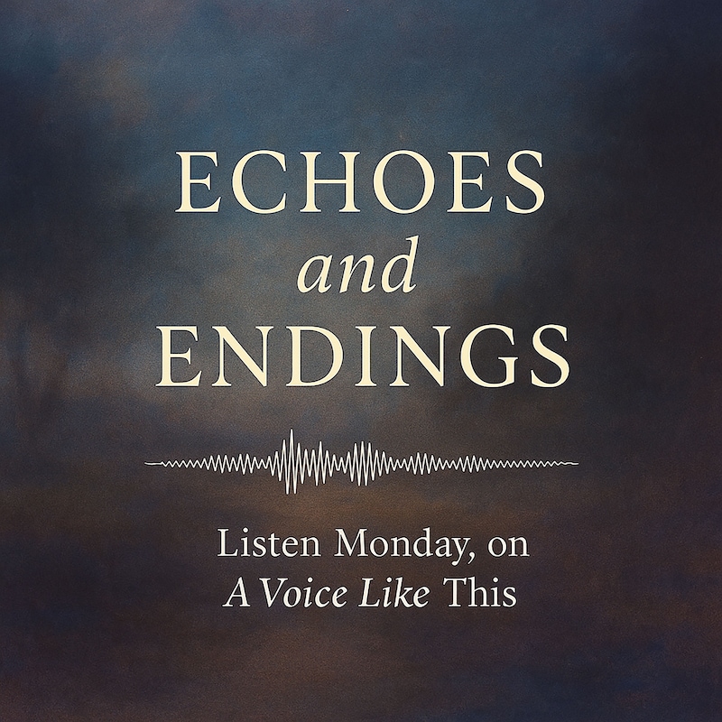 Artwork for podcast A Voice Like This