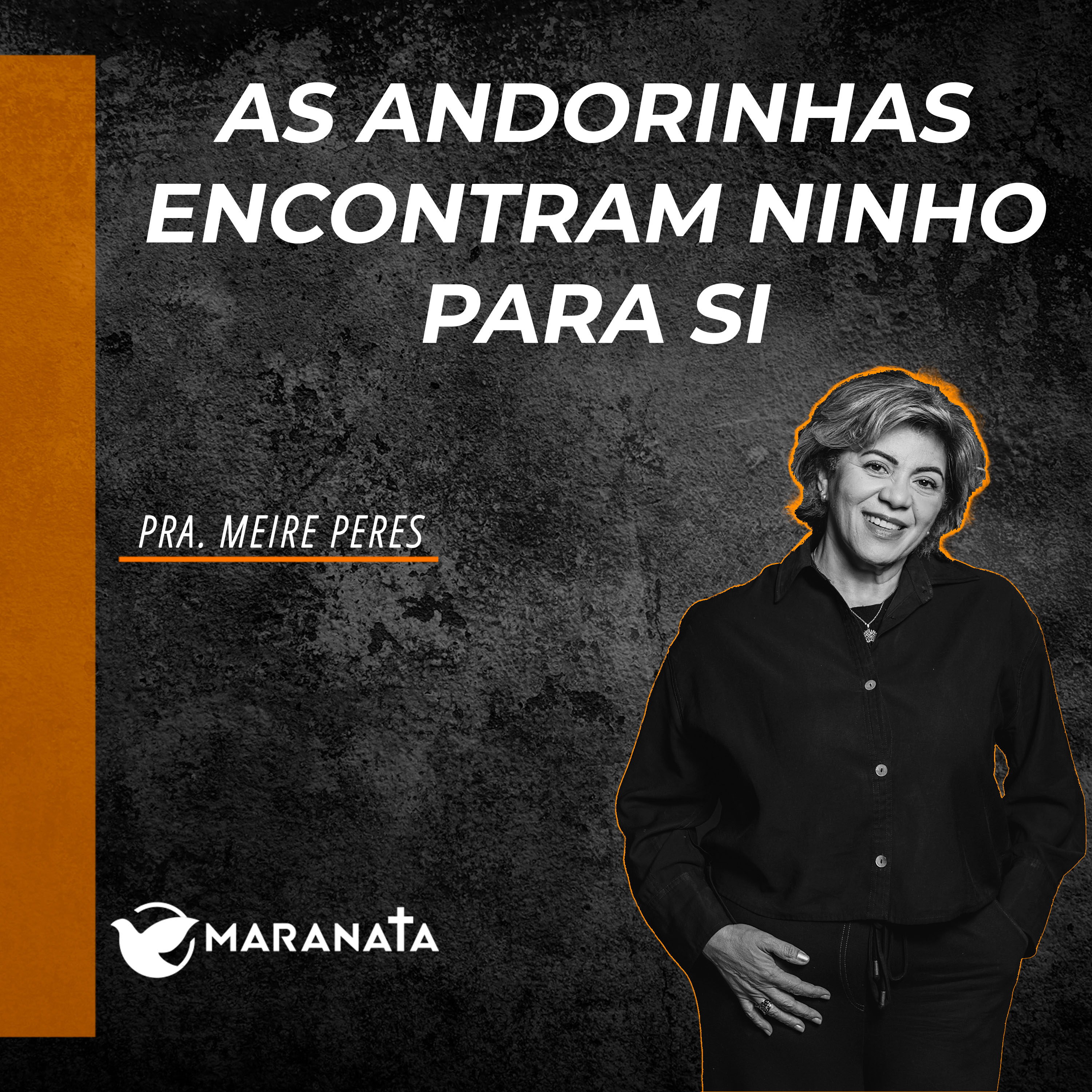 As andorinhas encontram ninho para si - Pra. Meire Peres episode artwork