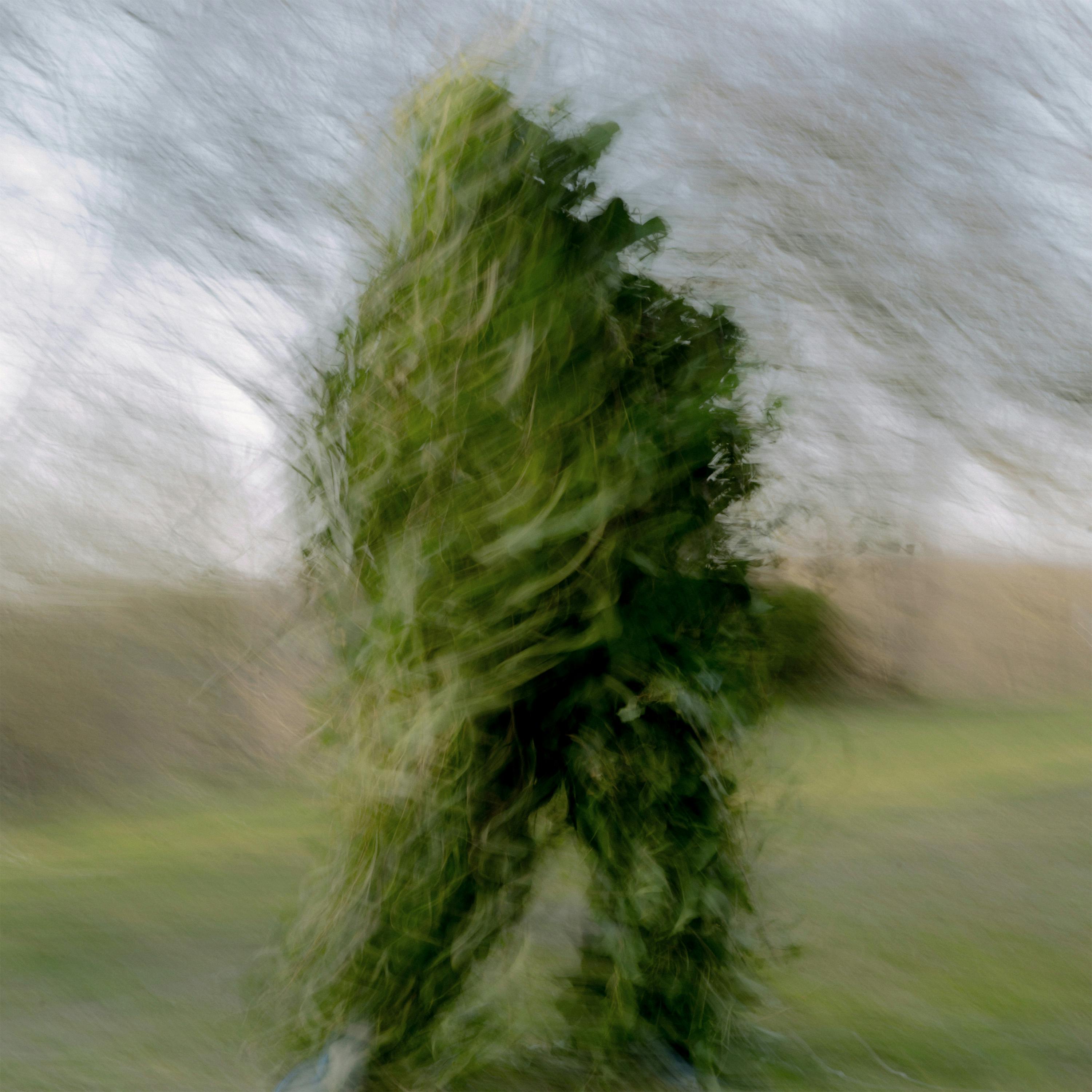 The Radical Intimacy of Spiritual Ecology – A Talk by Emmanuel Vaughan-Lee