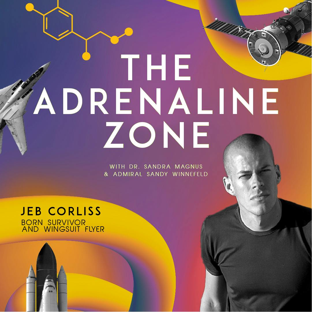 The Adrenaline Zone