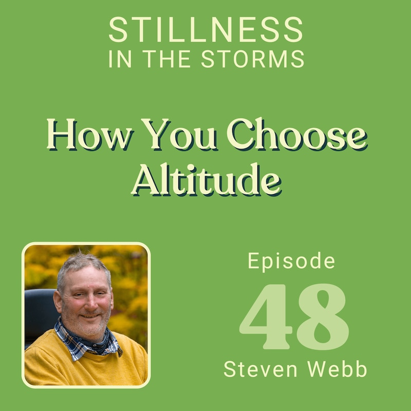 Artwork for podcast Stillness in the Storms