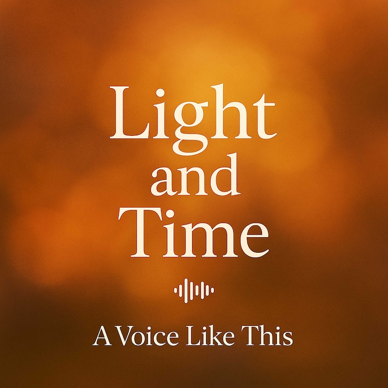 Artwork for podcast A Voice Like This