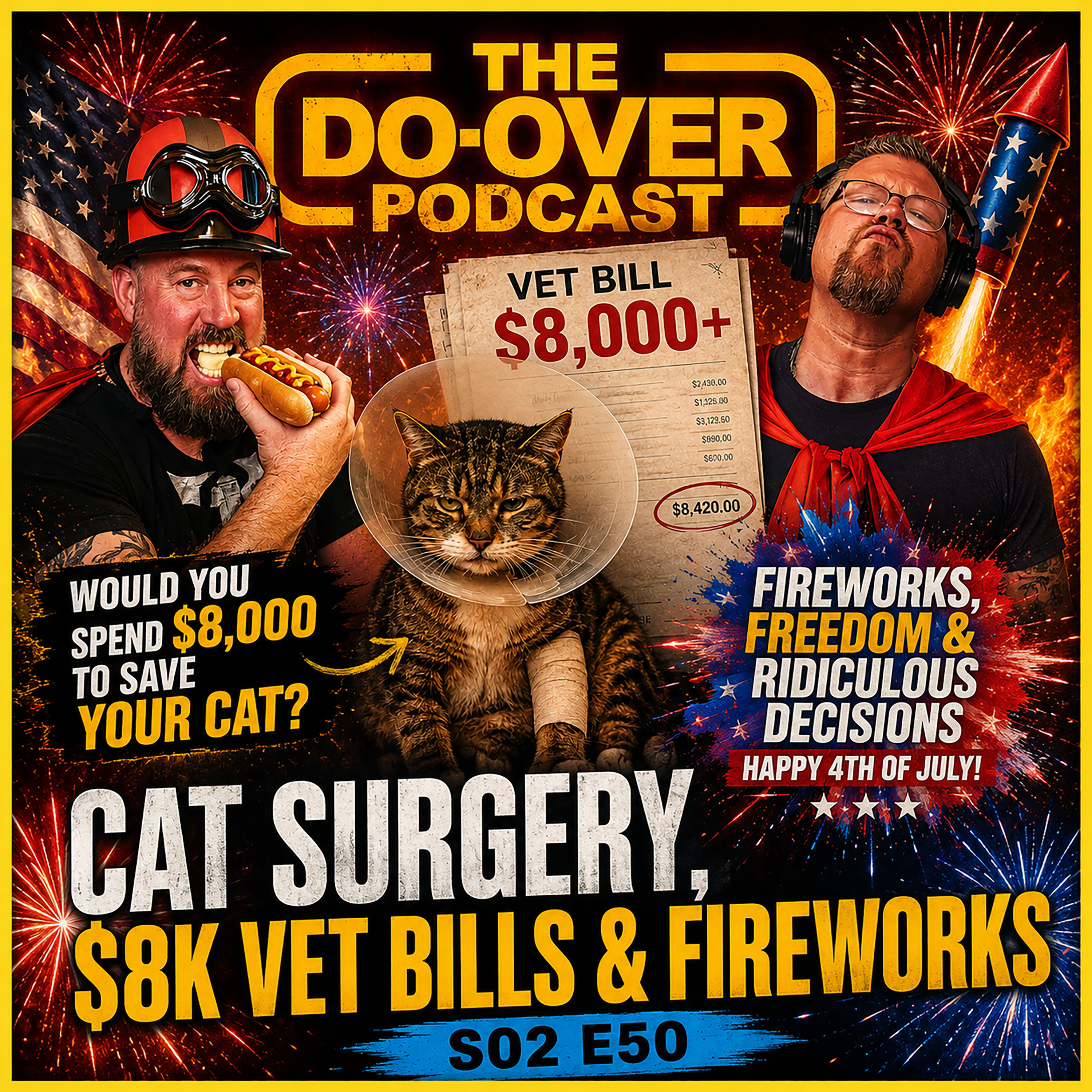 Would You Spend $8,000 to Save Your Cat? | Vet Bills, Fireworks | The Do-Over Podcast episode artwork