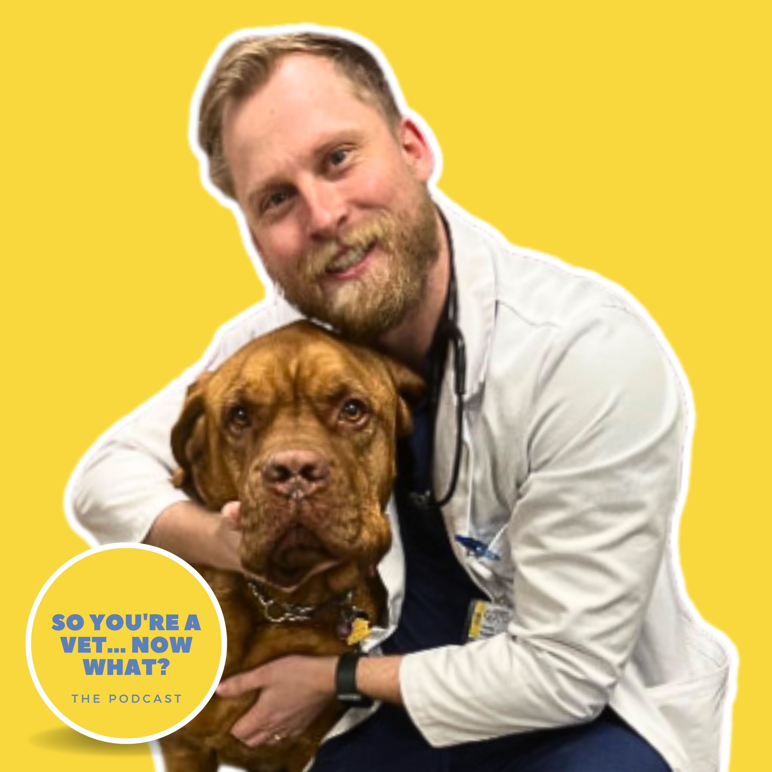 The \'So You\'re A Vet... Now What?\' Podcast