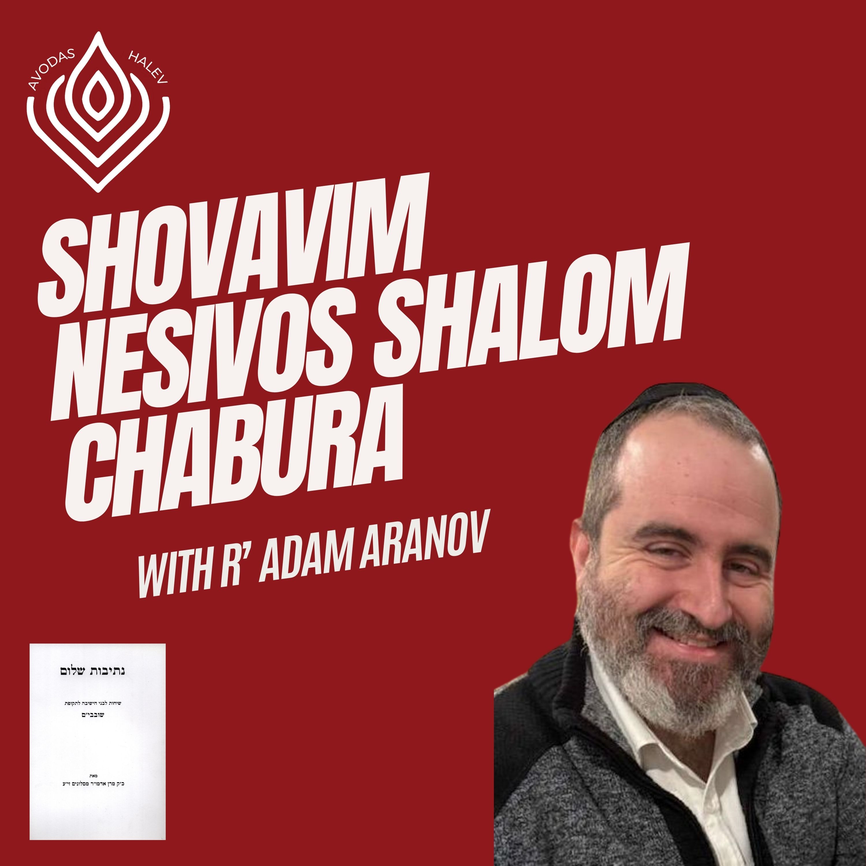 Shovavim Daily Nesivos Shalom podcast artwork