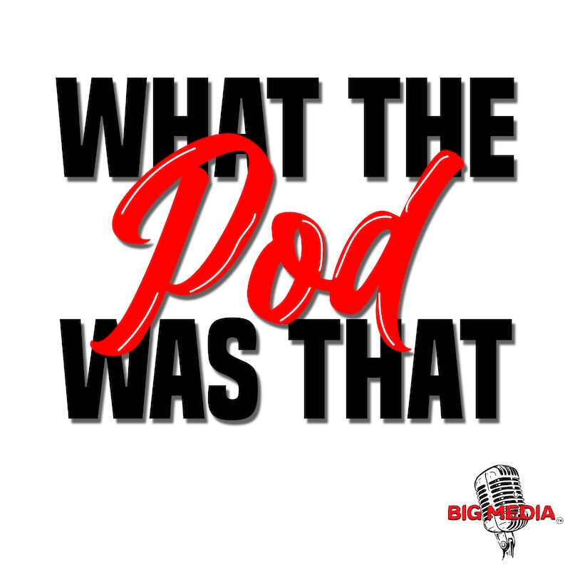Artwork for podcast What The Pod Was That?