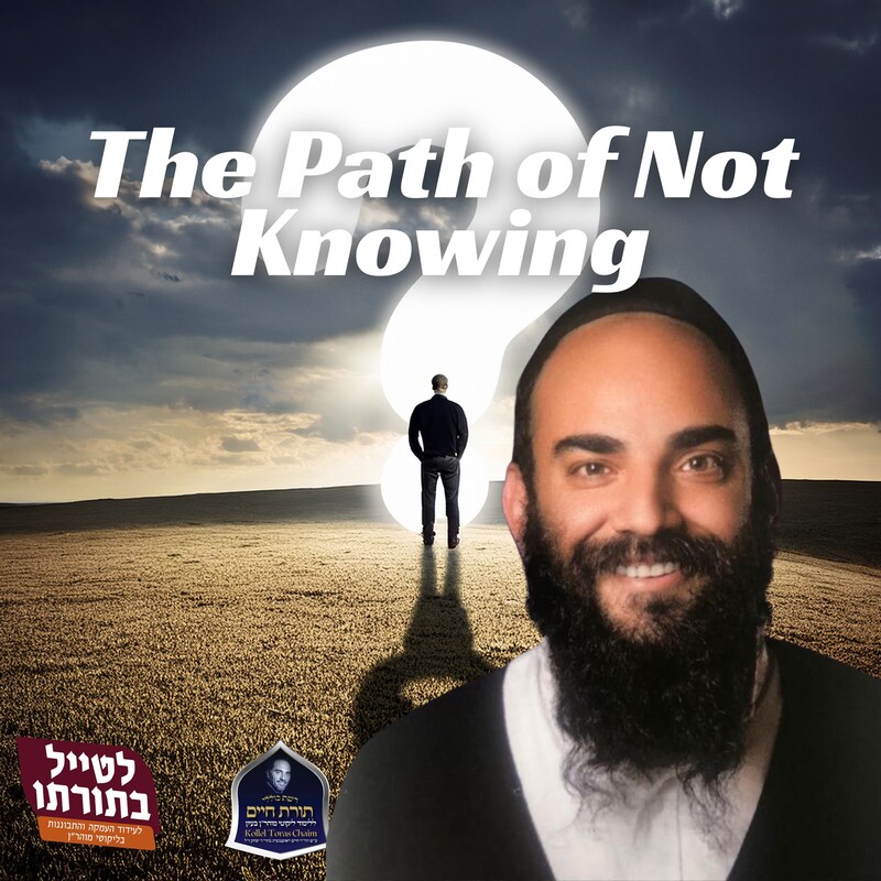 Artwork for podcast Kollel Toras Chaim All Shiurim