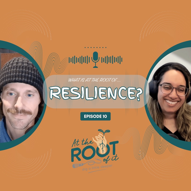Artwork for podcast At The Root Of It