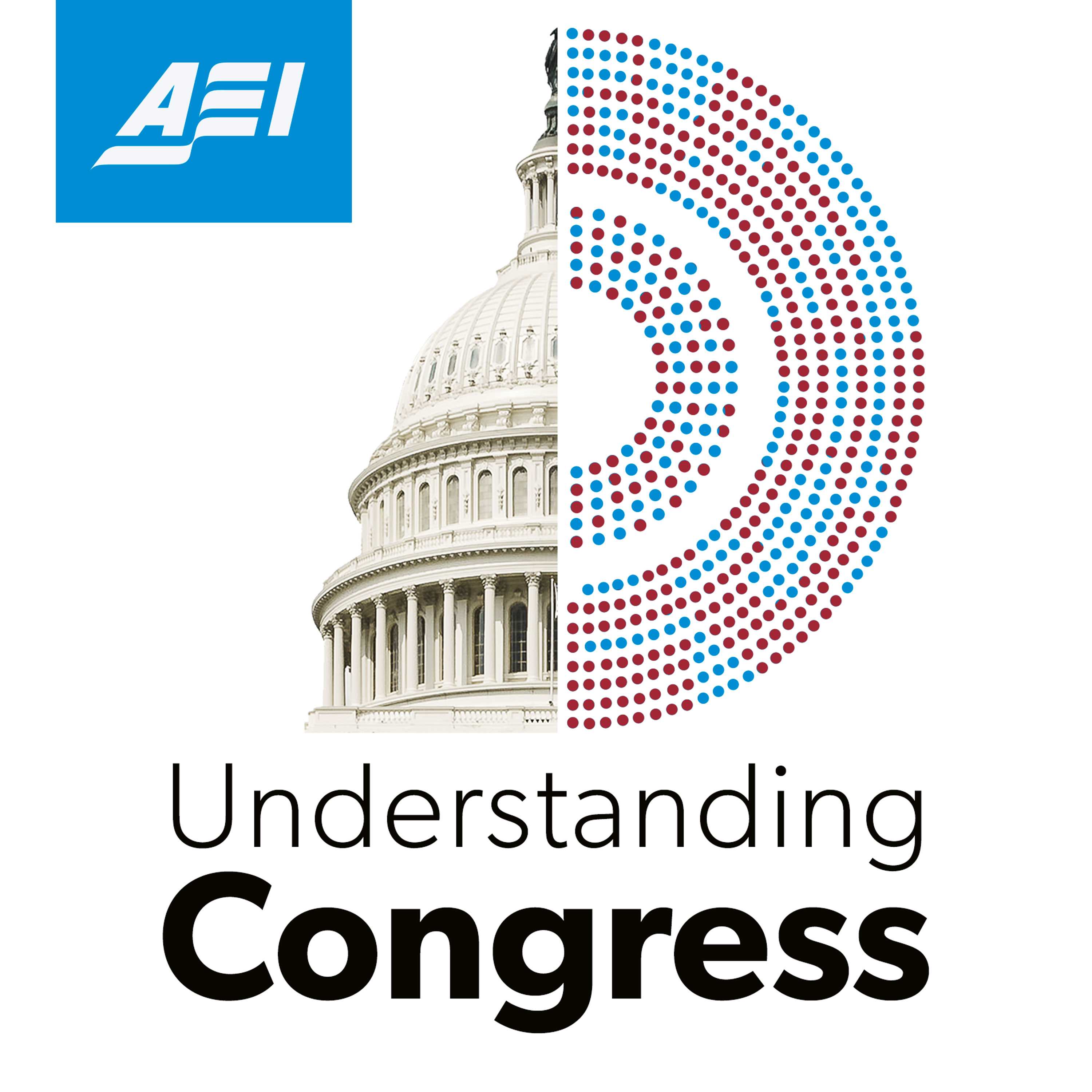 Artwork for podcast Understanding Congress