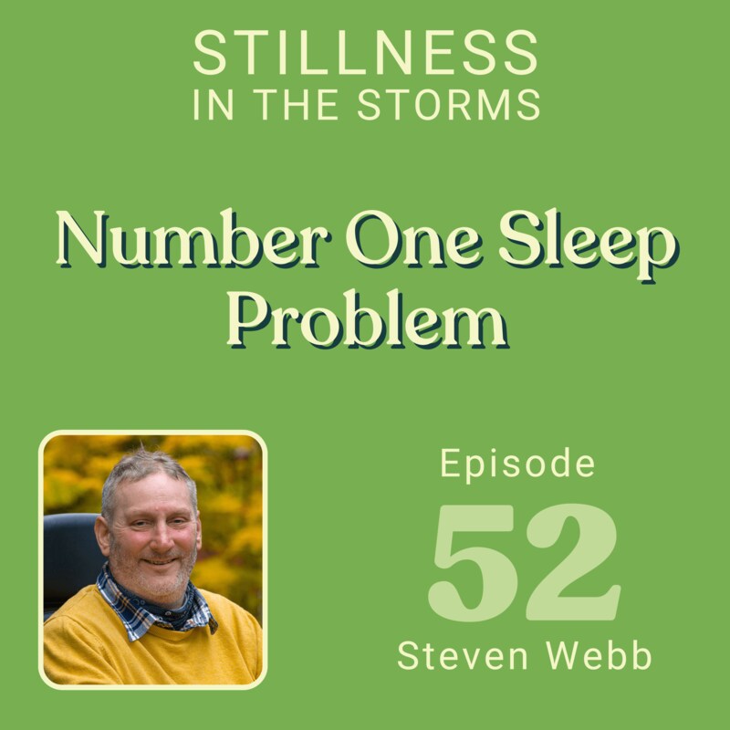 Artwork for podcast Stillness in the Storms