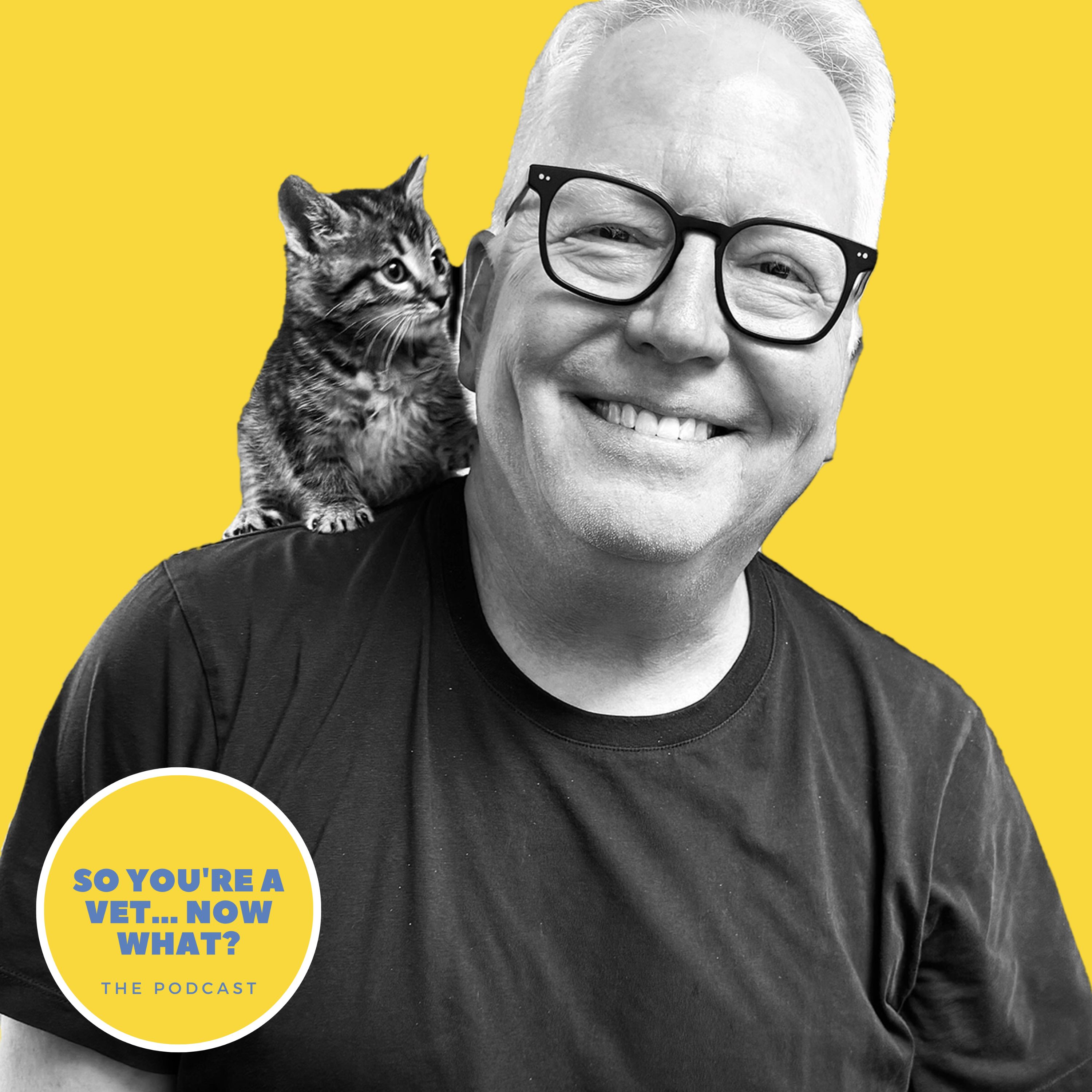 The \'So You\'re A Vet... Now What?\' Podcast