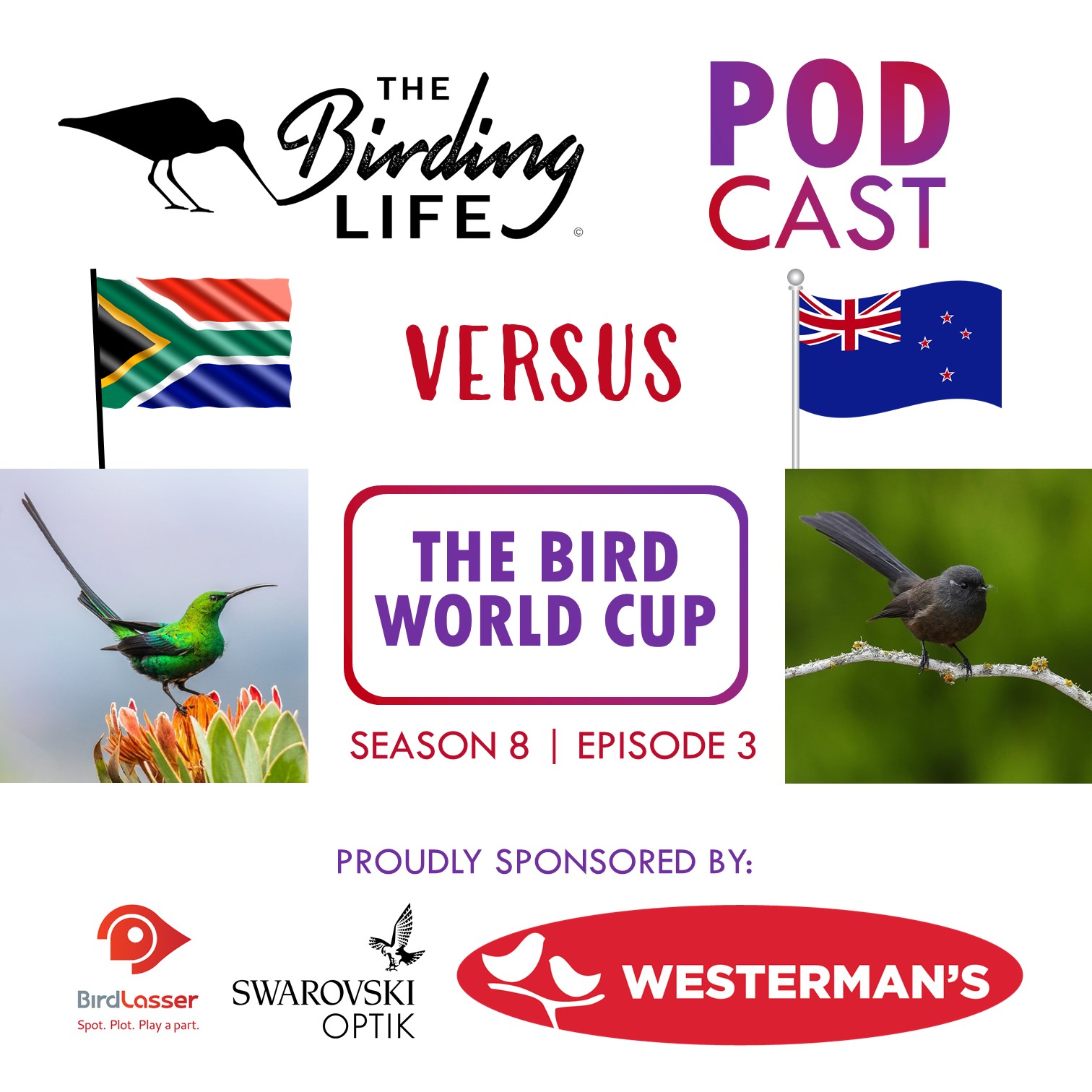 Season 8 Episode 3  - The Bird World Cup
