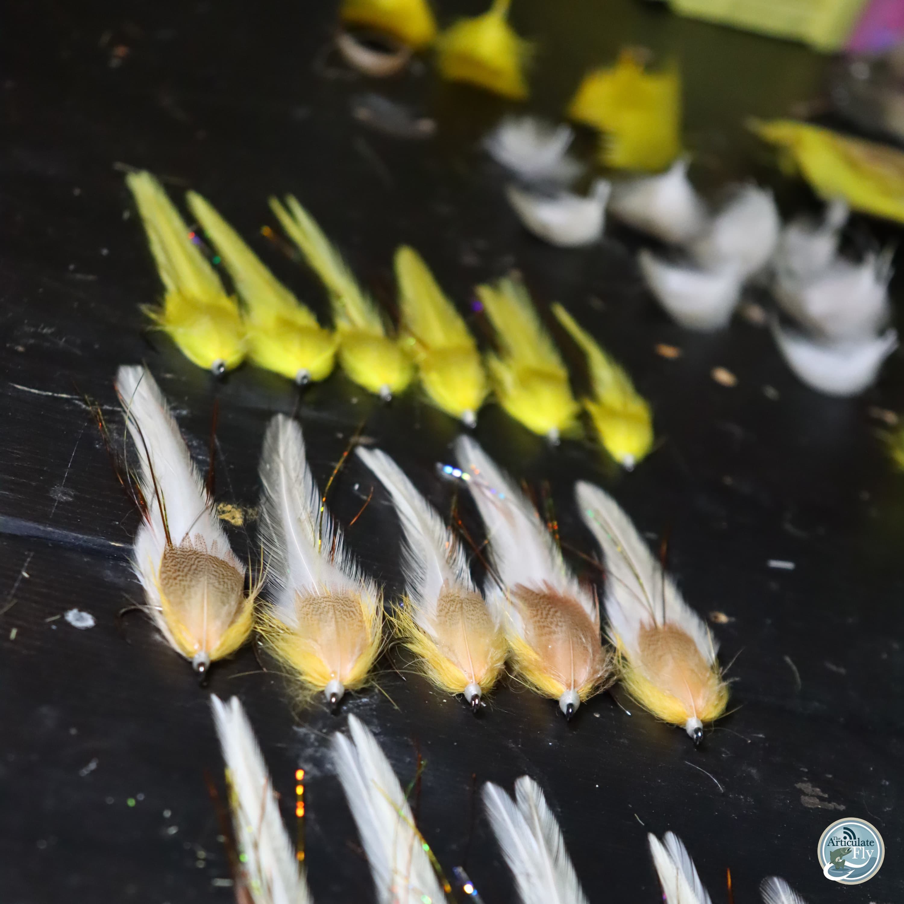 S7, Ep 63: Hot Days and Spicy Bites: An East Tennessee Fishing Report with Ellis Ward