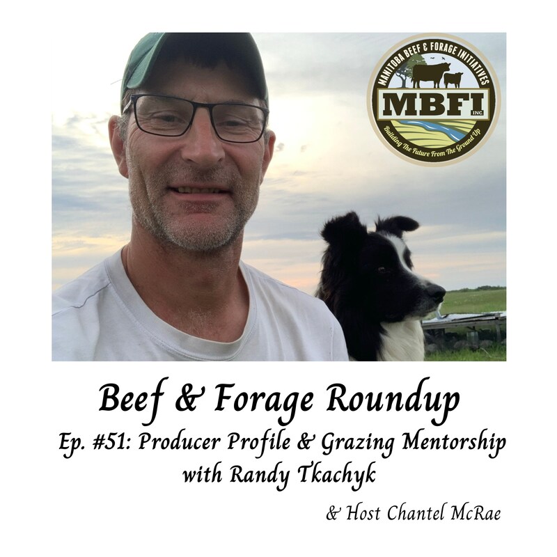 Artwork for podcast Beef and Forage Roundup