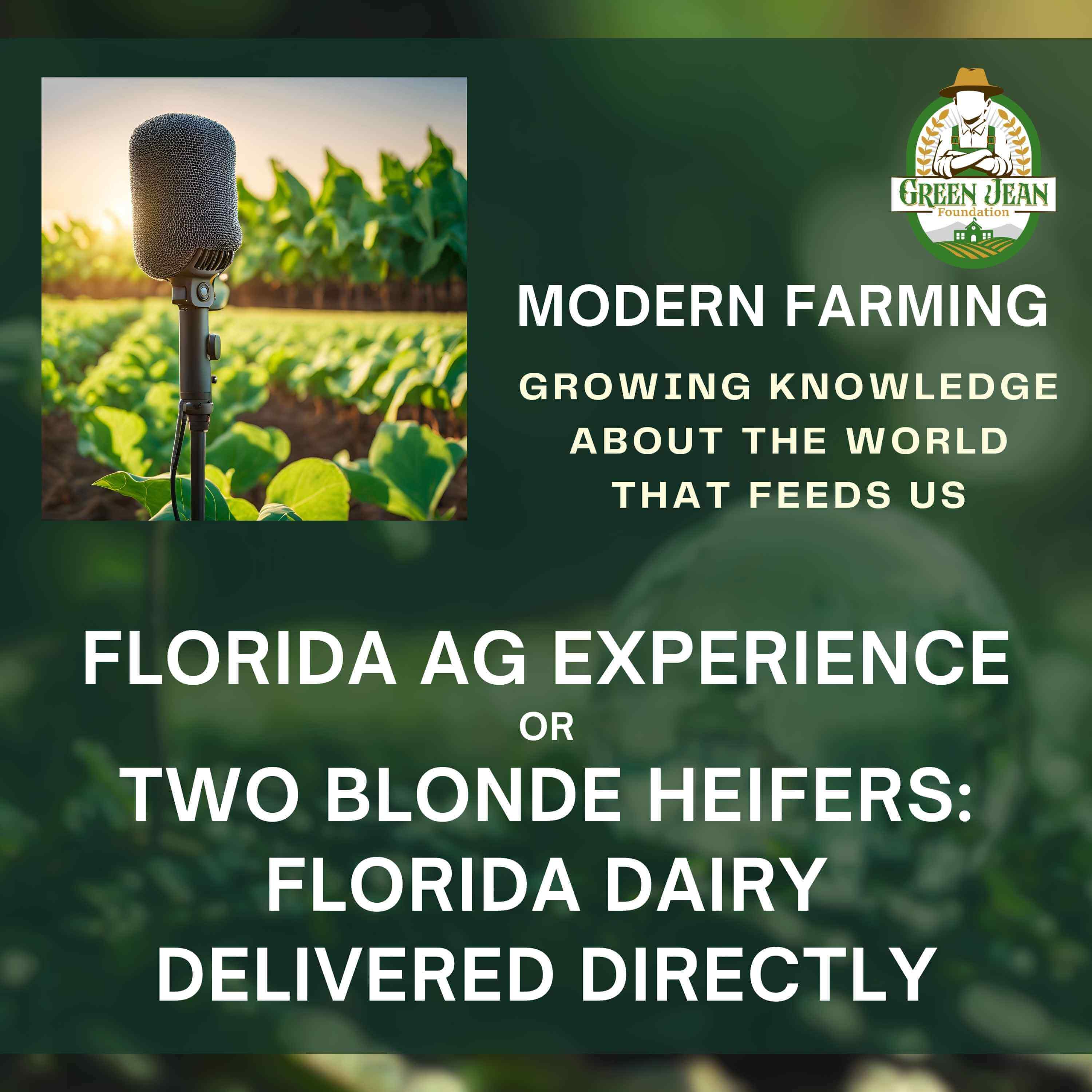 Florida Ag Experience or Two Blonde Heifers: Florida Dairy Delivered Directly