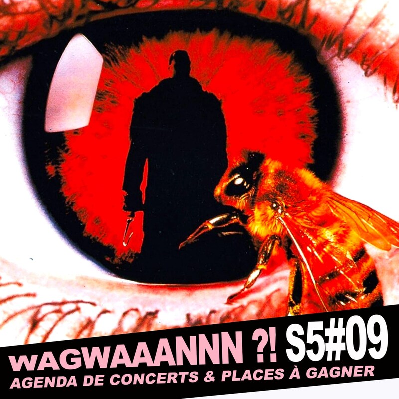 Artwork for podcast WAGWAAANNN ?!