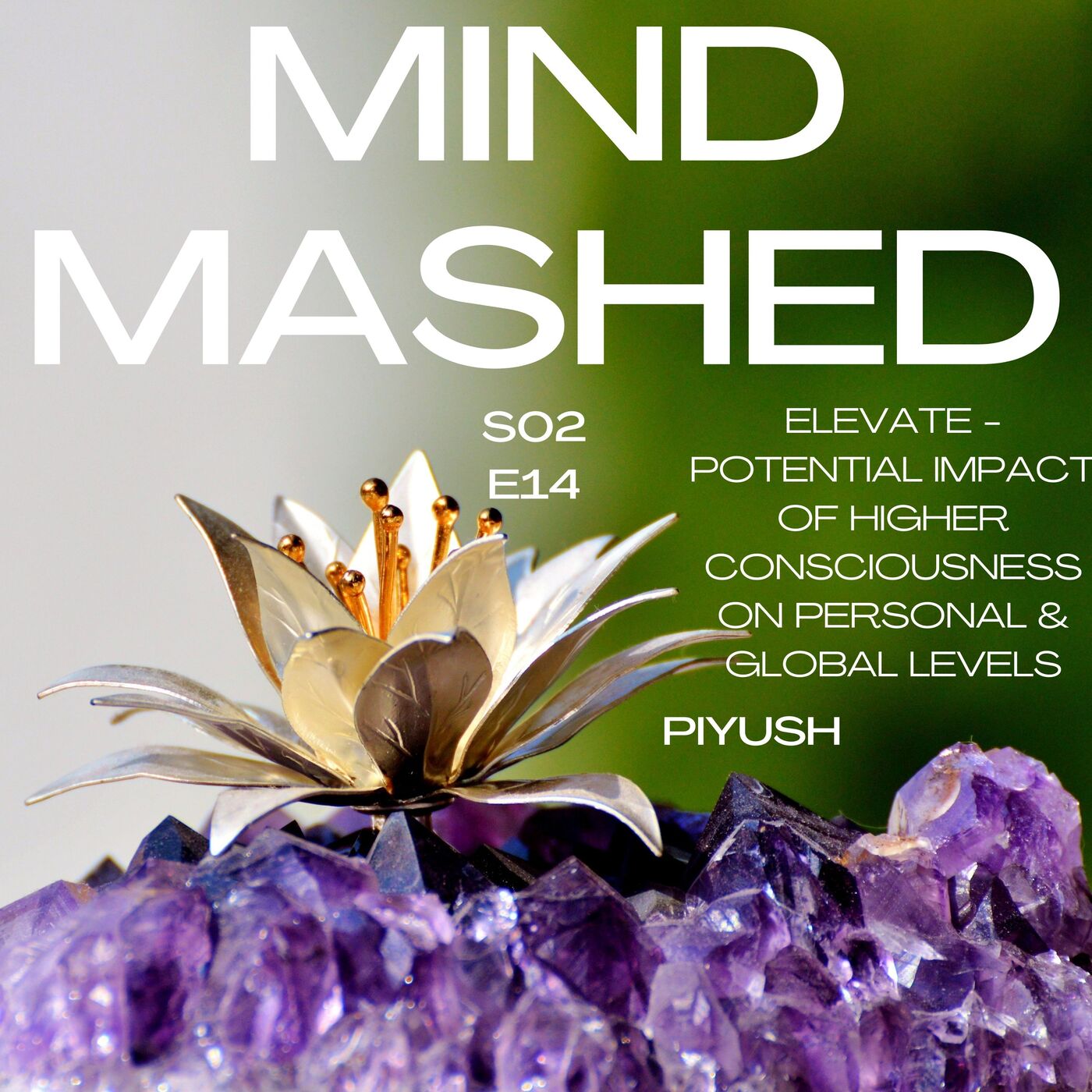 Mind Mashed - A Transformative Mindfulness & 5D Spirituality Podcast