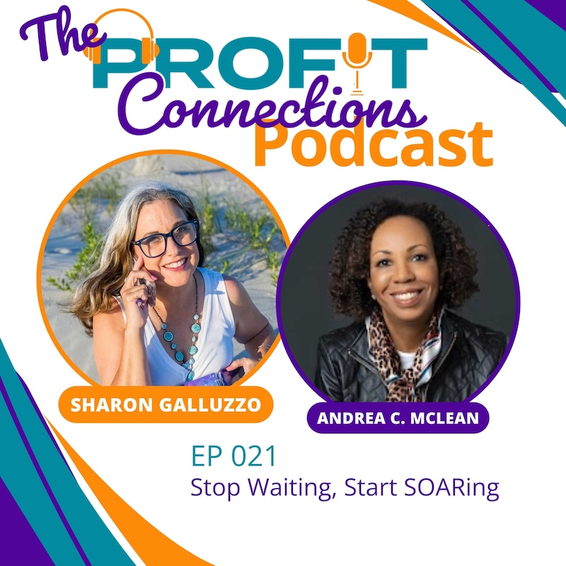 Artwork for podcast The Profit Connections Podcast