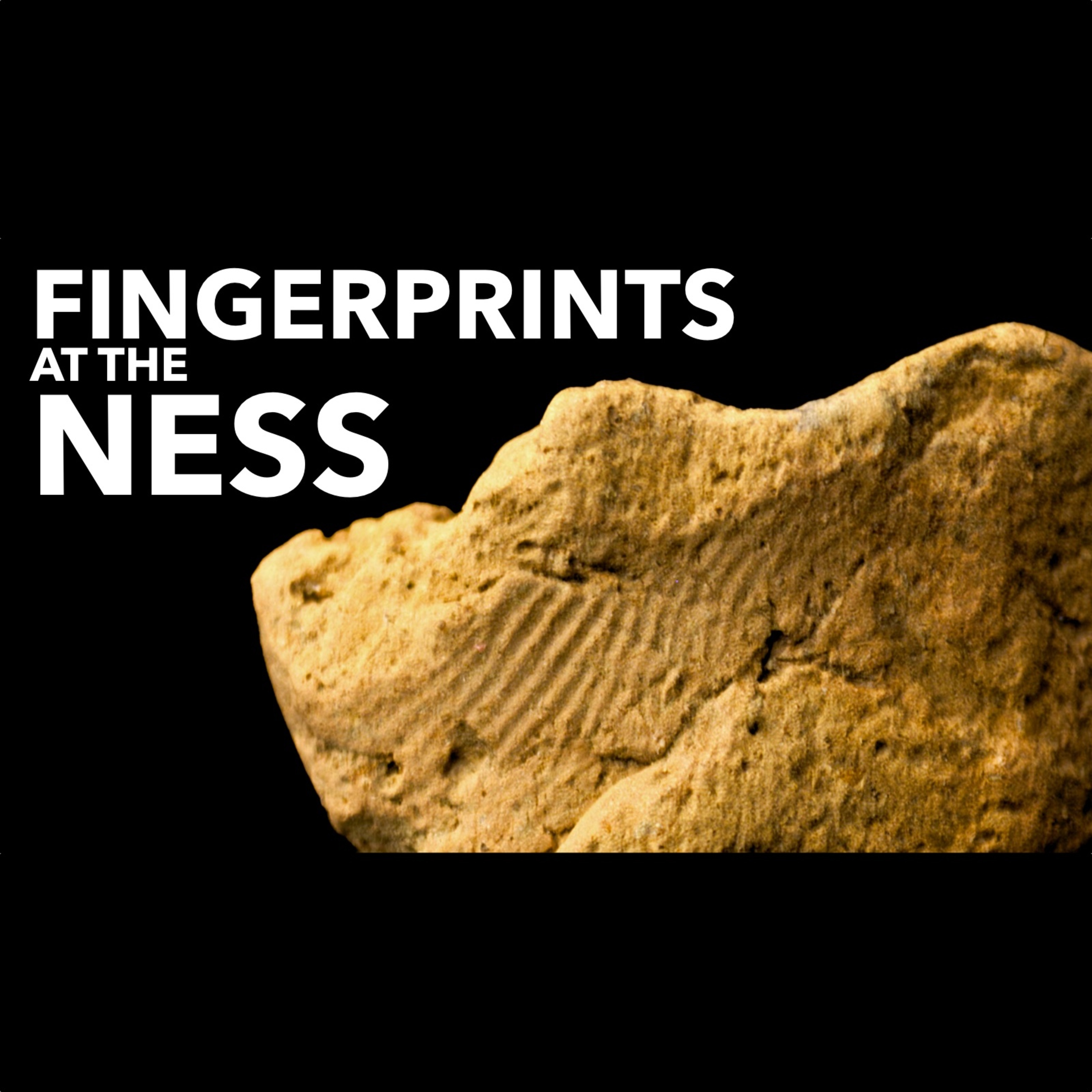 The Prehistory Guys