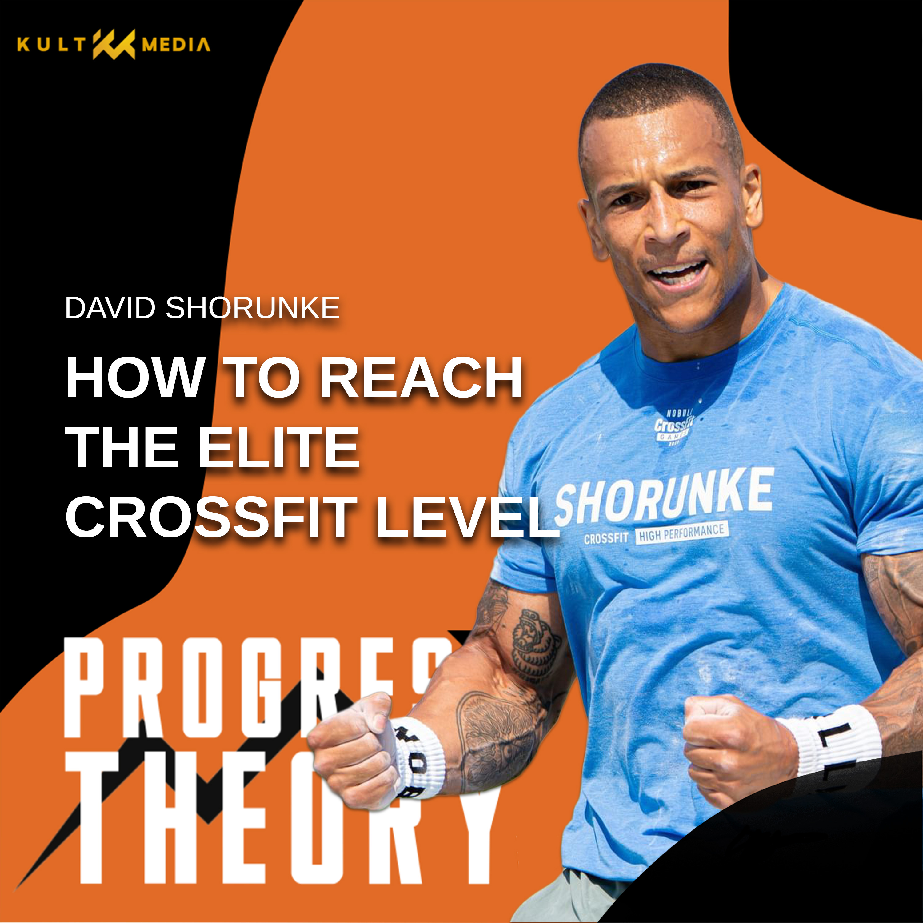 The Progress Theory