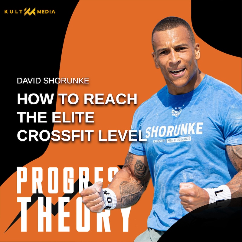 Artwork for podcast The Progress Theory