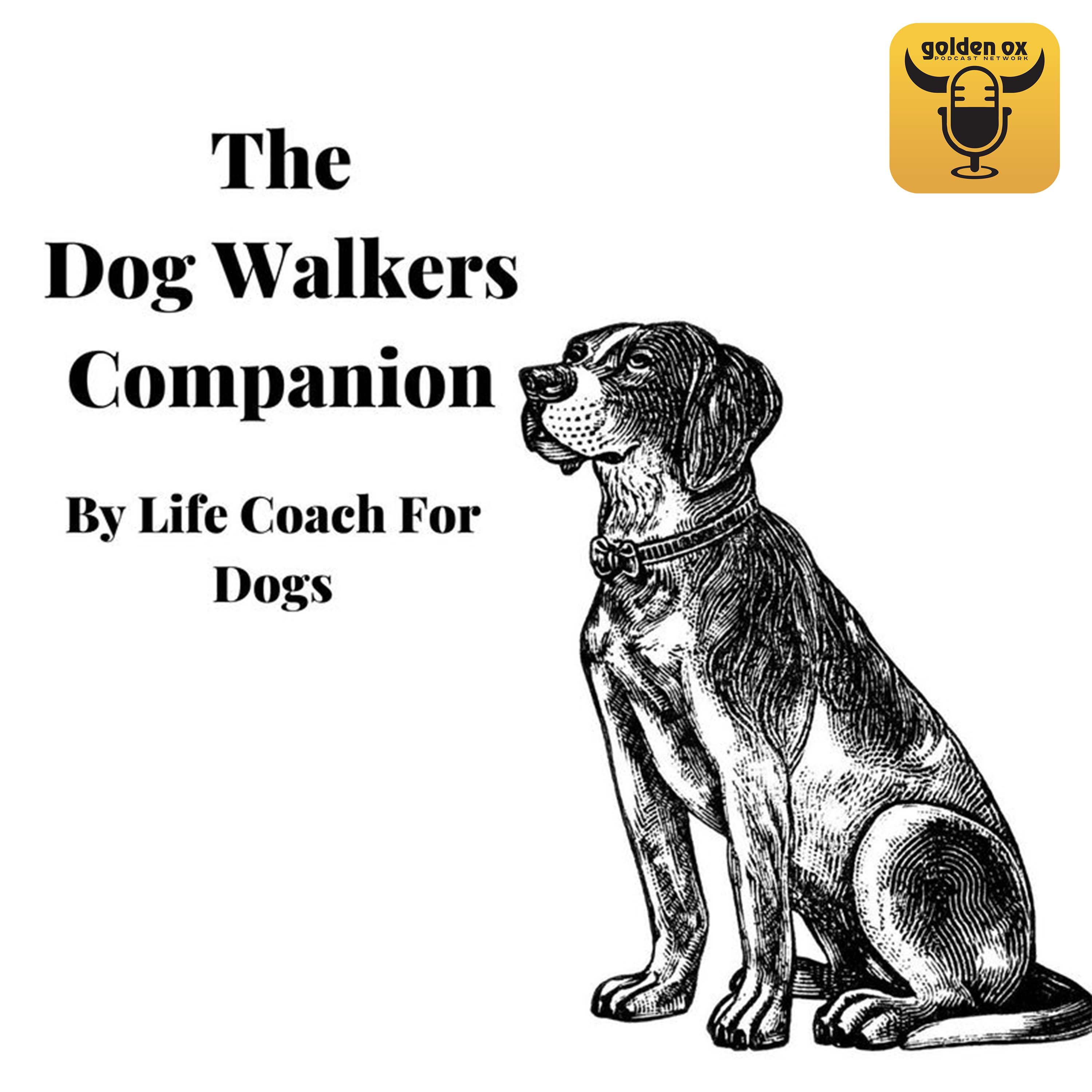 Dog Walkers Companion's artwork