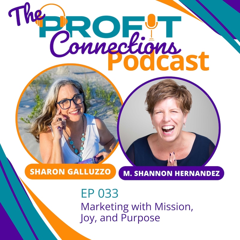 Artwork for podcast The Profit Connections Podcast