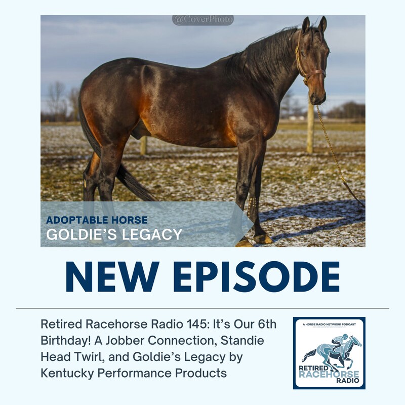 Artwork for podcast Retired Racehorse Radio