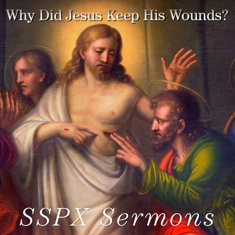 Artwork for podcast SSPX Sermons