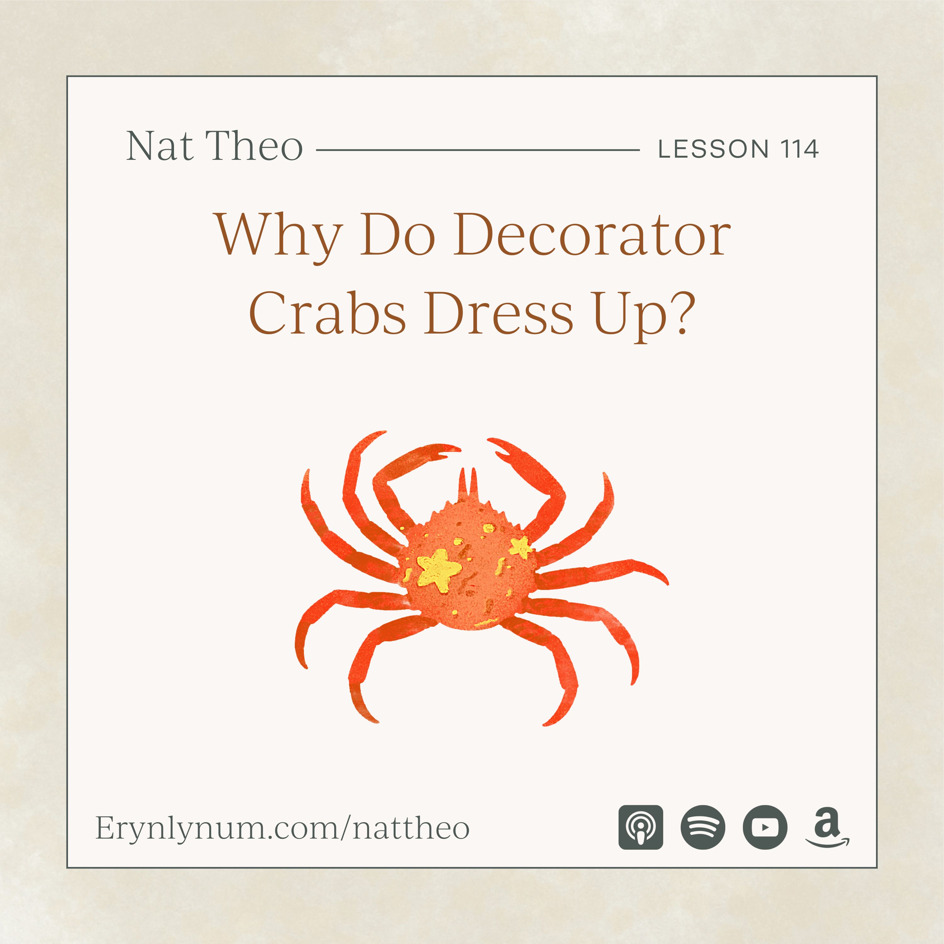 Why Do Decorator Crabs Dress Up? Lesson 114