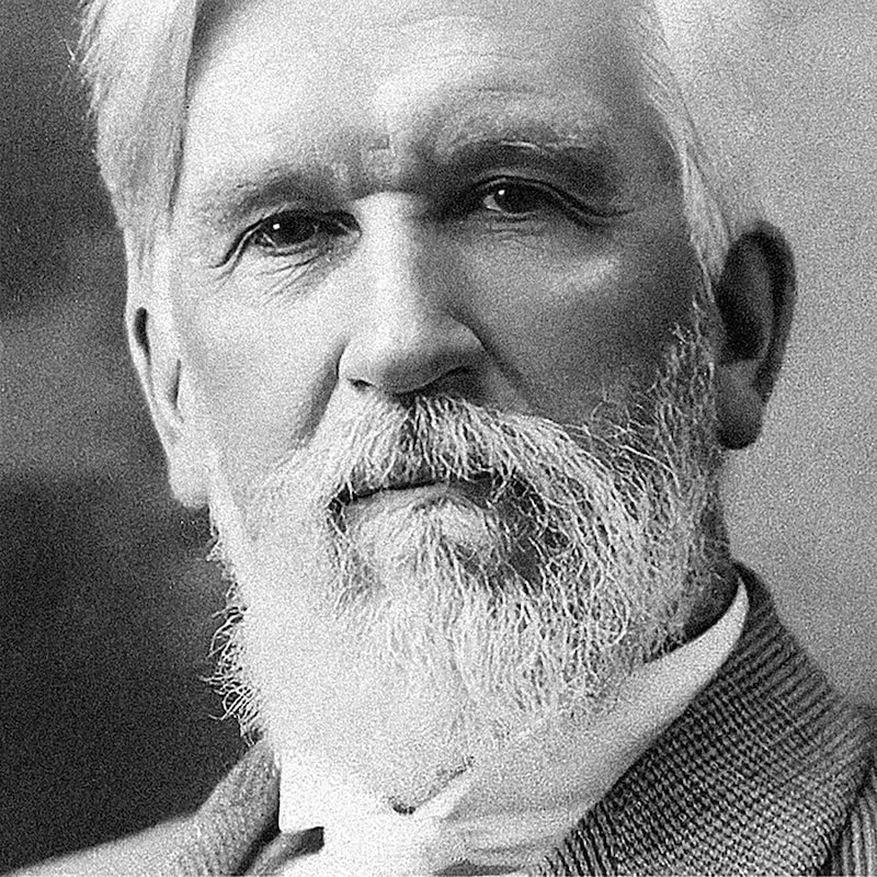 Artwork for podcast GOMBAPRESSZÓ