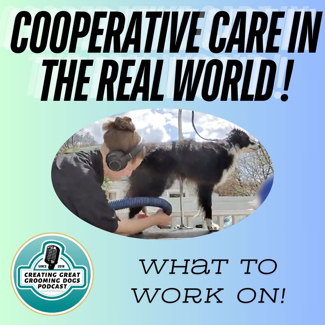 Creating Great Grooming Dogs