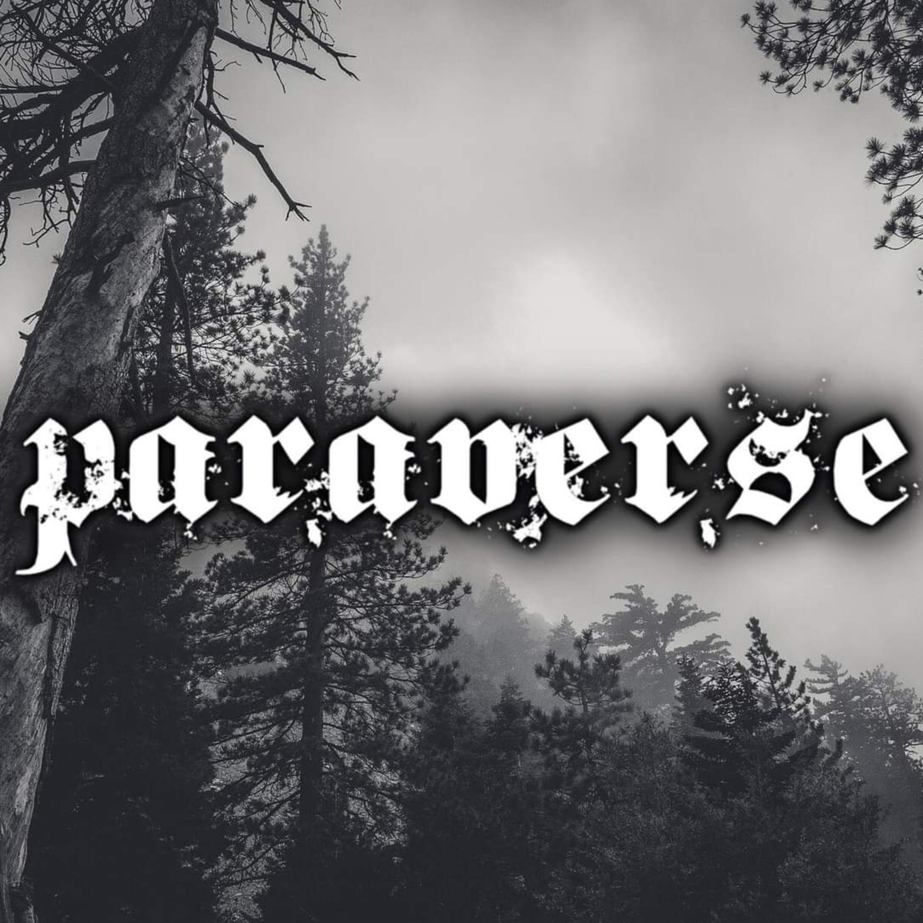 Paraverse - Live show and podcast series